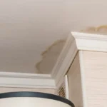 Texas Roofing Authority Leaking Roof