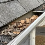 10 Common Gutter Problems in Hutto Homes (And How to Prevent Them)