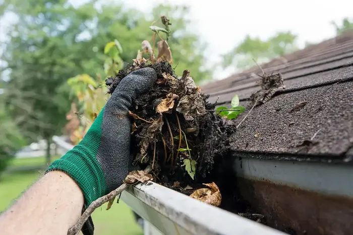 Clogged Gutters – The #1 Culprit