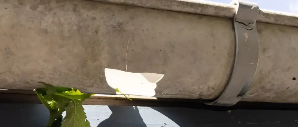 Gutter Cracks and Splits