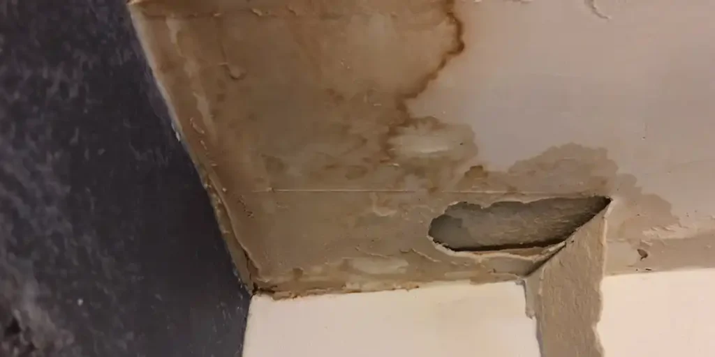 Texas Roofing Authority - Leaking ceiling